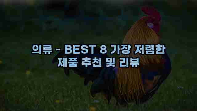 의류 - BEST 8 가장 저렴한 제품 추천 및 리뷰