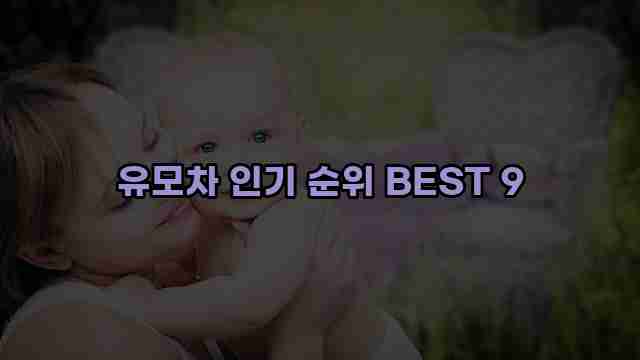 유모차 인기 순위 BEST 9