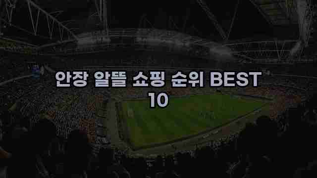 안장 알뜰 쇼핑 순위 BEST 10