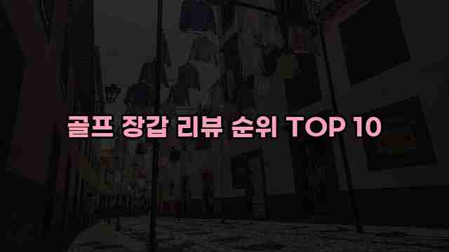 골프 장갑 리뷰 순위 TOP 10