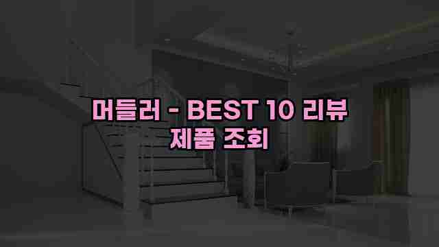 머들러 - BEST 10 리뷰 제품 조회