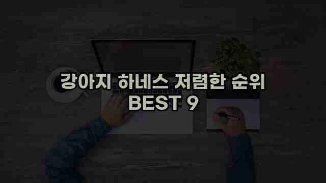 강아지 하네스 저렴한 순위 BEST 9