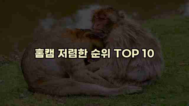 홈캠 저렴한 순위 TOP 10