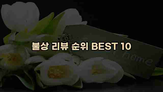 불상 리뷰 순위 BEST 10