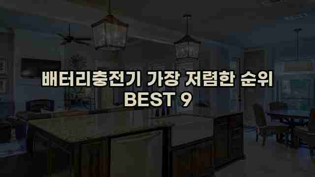 배터리충전기 가장 저렴한 순위 BEST 9