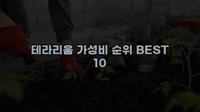 테라리움 가성비 순위 BEST 10