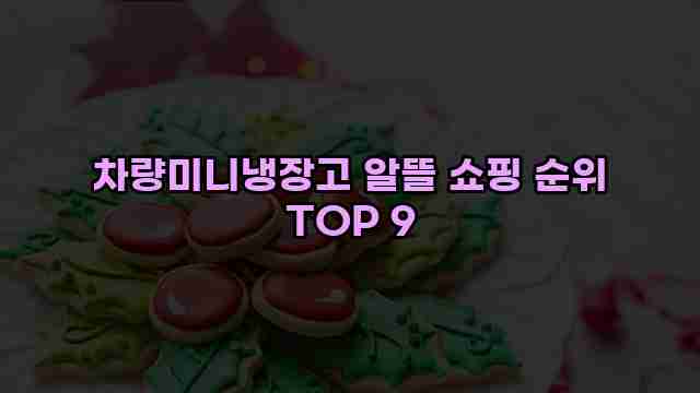 차량미니냉장고 알뜰 쇼핑 순위 TOP 9