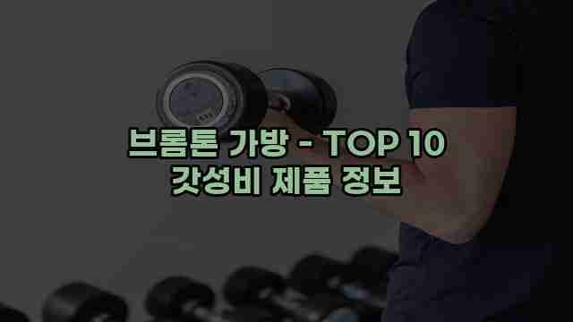 브롬톤 가방 - TOP 10 갓성비 제품 정보