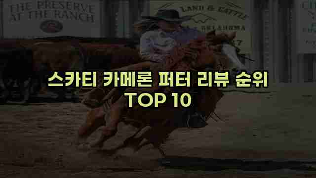 스카티 카메론 퍼터 리뷰 순위 TOP 10