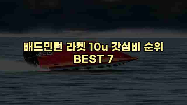 배드민턴 라켓 10u 갓심비 순위 BEST 7