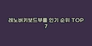 우니재의 알리알리 알리숑 - 11778 - 2024년 11월 26일 1