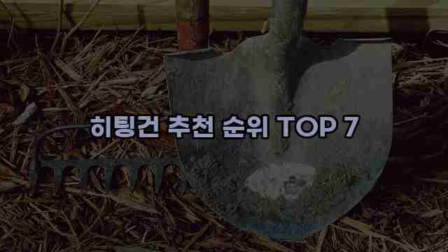 히팅건 추천 순위 TOP 7