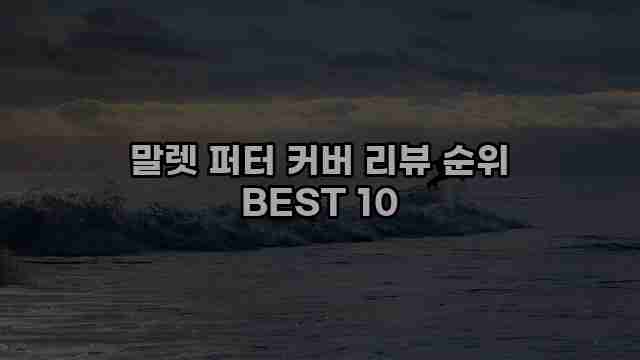 말렛 퍼터 커버 리뷰 순위 BEST 10