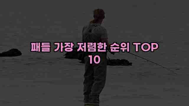 패들 가장 저렴한 순위 TOP 10