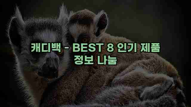 캐디백 - BEST 8 인기 제품 정보 나눔