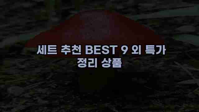  세트 추천 BEST 9 외 특가 정리 상품