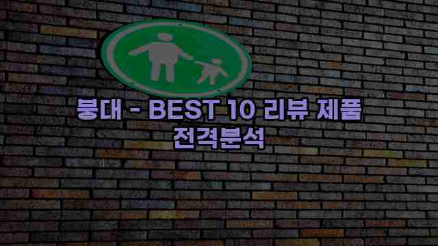 붕대 - BEST 10 리뷰 제품 전격분석