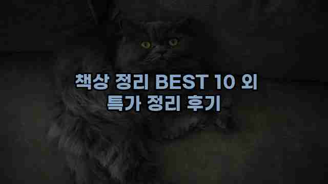  책상 정리 BEST 10 외 특가 정리 후기