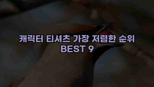 캐릭터 티셔츠 가장 저렴한 순위 BEST 9