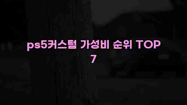 ps5커스텀 가성비 순위 TOP 7