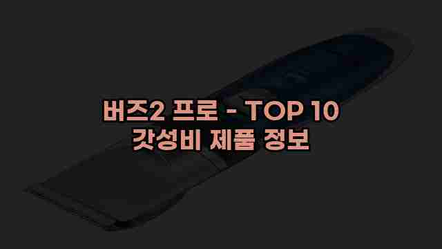 버즈2 프로 - TOP 10 갓성비 제품 정보