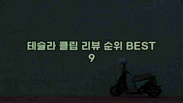 테슬라 클립 리뷰 순위 BEST 9