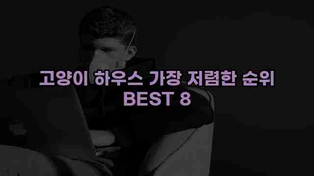 고양이 하우스 가장 저렴한 순위 BEST 8