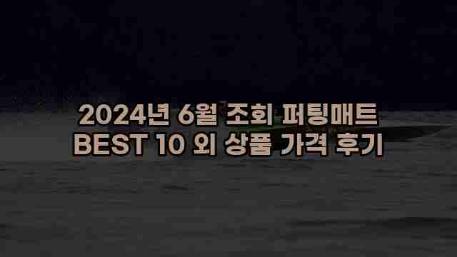 2024년 6월 조회 퍼팅매트 BEST 10 외 상품 가격 후기