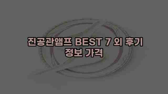  진공관앰프 BEST 7 외 후기 정보 가격