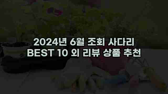 2024년 6월 조회 사다리 BEST 10 외 리뷰 상품 추천