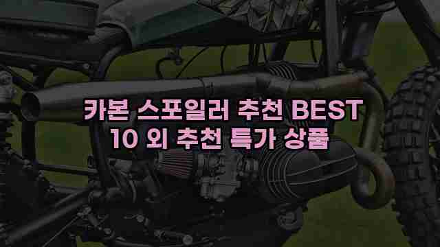  카본 스포일러 추천 BEST 10 외 추천 특가 상품