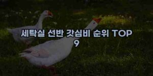 우니재의 알리알리 알리숑 - 18691 - 2024년 11월 23일 14