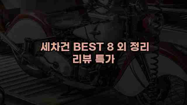  세차건 BEST 8 외 정리 리뷰 특가