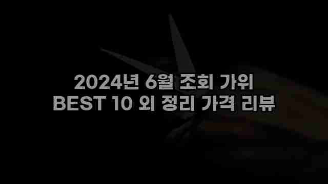 2024년 6월 조회 가위 BEST 10 외 정리 가격 리뷰