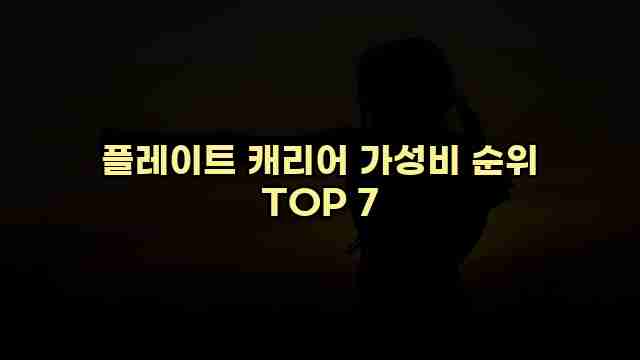 플레이트 캐리어 가성비 순위 TOP 7