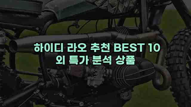  하이디 라오 추천 BEST 10 외 특가 분석 상품