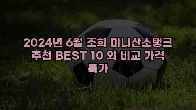 2024년 6월 조회 미니산소탱크 추천 BEST 10 외 비교 가격 특가