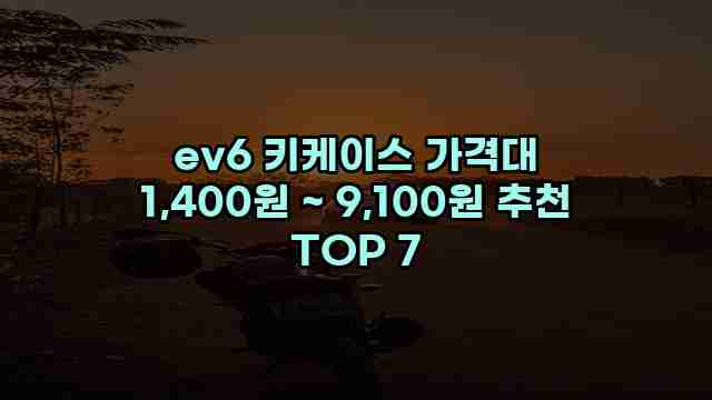 ev6 키케이스 가격대 1,400원 ~ 9,100원 추천 TOP 7