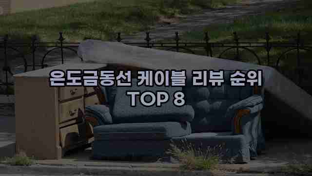 은도금동선 케이블 리뷰 순위 TOP 8