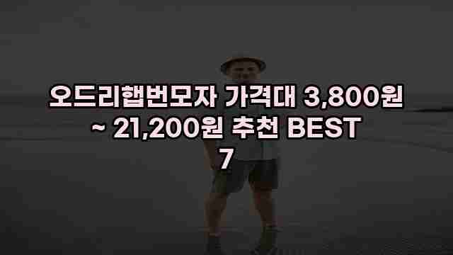 오드리햅번모자 가격대 3,800원 ~ 21,200원 추천 BEST 7