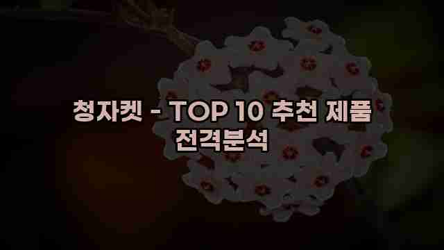 청자켓 - TOP 10 추천 제품 전격분석