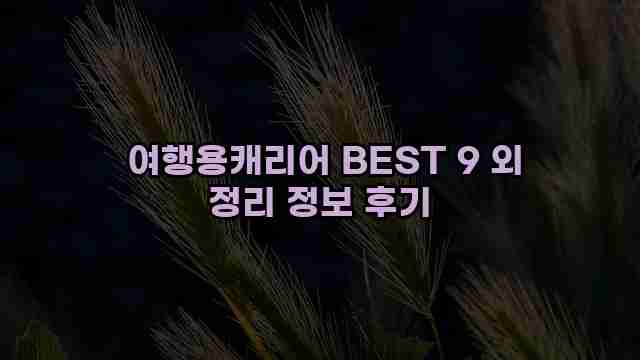  여행용캐리어 BEST 9 외 정리 정보 후기