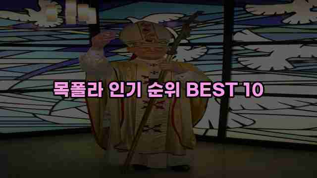 목폴라 인기 순위 BEST 10