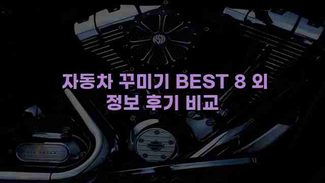  자동차 꾸미기 BEST 8 외 정보 후기 비교