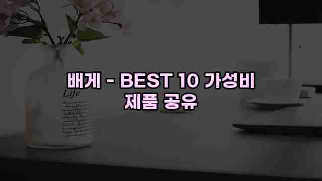 배게 - BEST 10 가성비 제품 공유