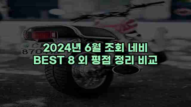 2024년 6월 조회 네비 BEST 8 외 평점 정리 비교