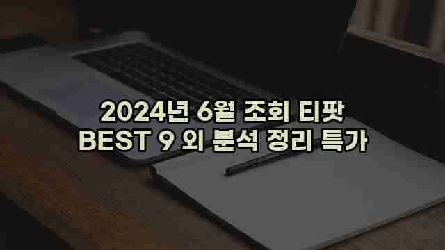 2024년 6월 조회 티팟 BEST 9 외 분석 정리 특가