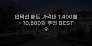 우니재의 알리알리 알리숑 - 15816 - 2024년 11월 24일 1