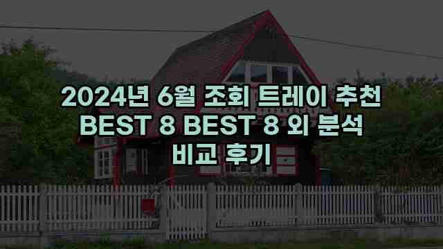 2024년 6월 조회 트레이 추천 BEST 8 BEST 8 외 분석 비교 후기