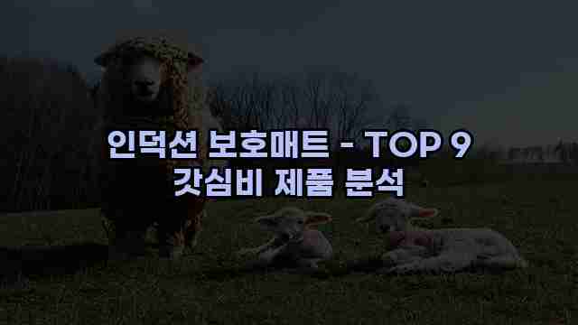 인덕션 보호매트 - TOP 9 갓심비 제품 분석